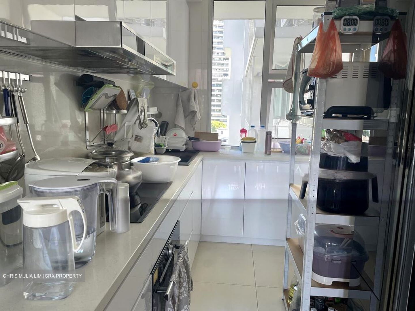 Belmond Green (D10), Condominium #502861871